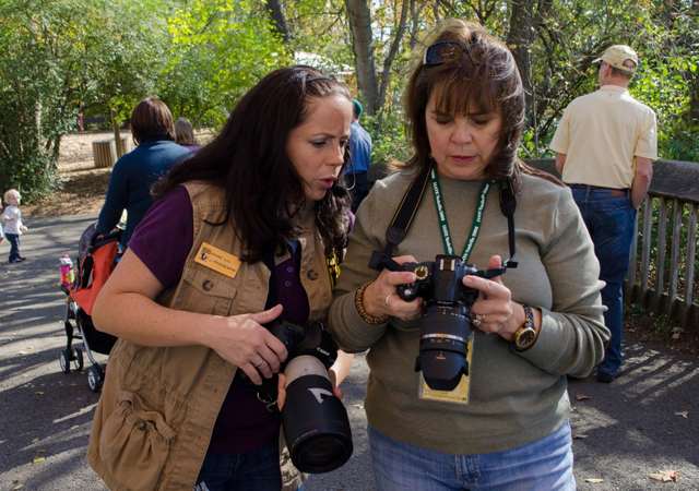 Nashville Zoo Animal Photography Classes