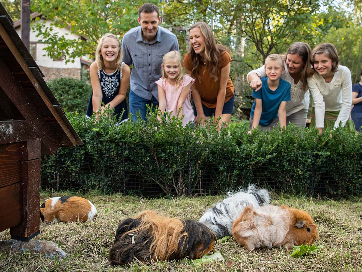 Guests overlooking Guinea pig habitat