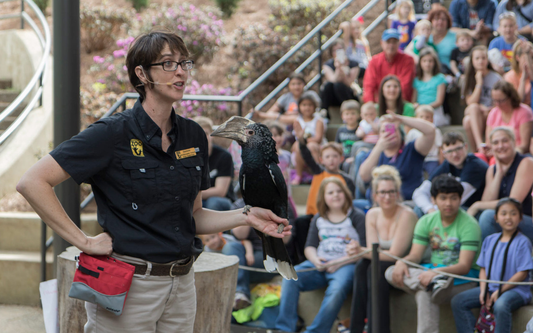 speaker talking during an animal show