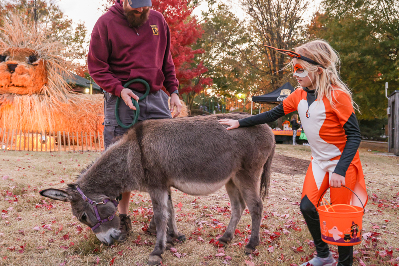 Animal Encounter at Boo at the Zoo