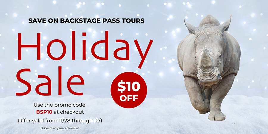 Holiday Backstage Pass Sale