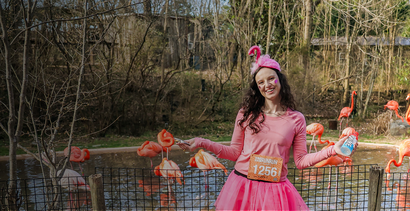 Woman in flamingo costume posing with flamingos