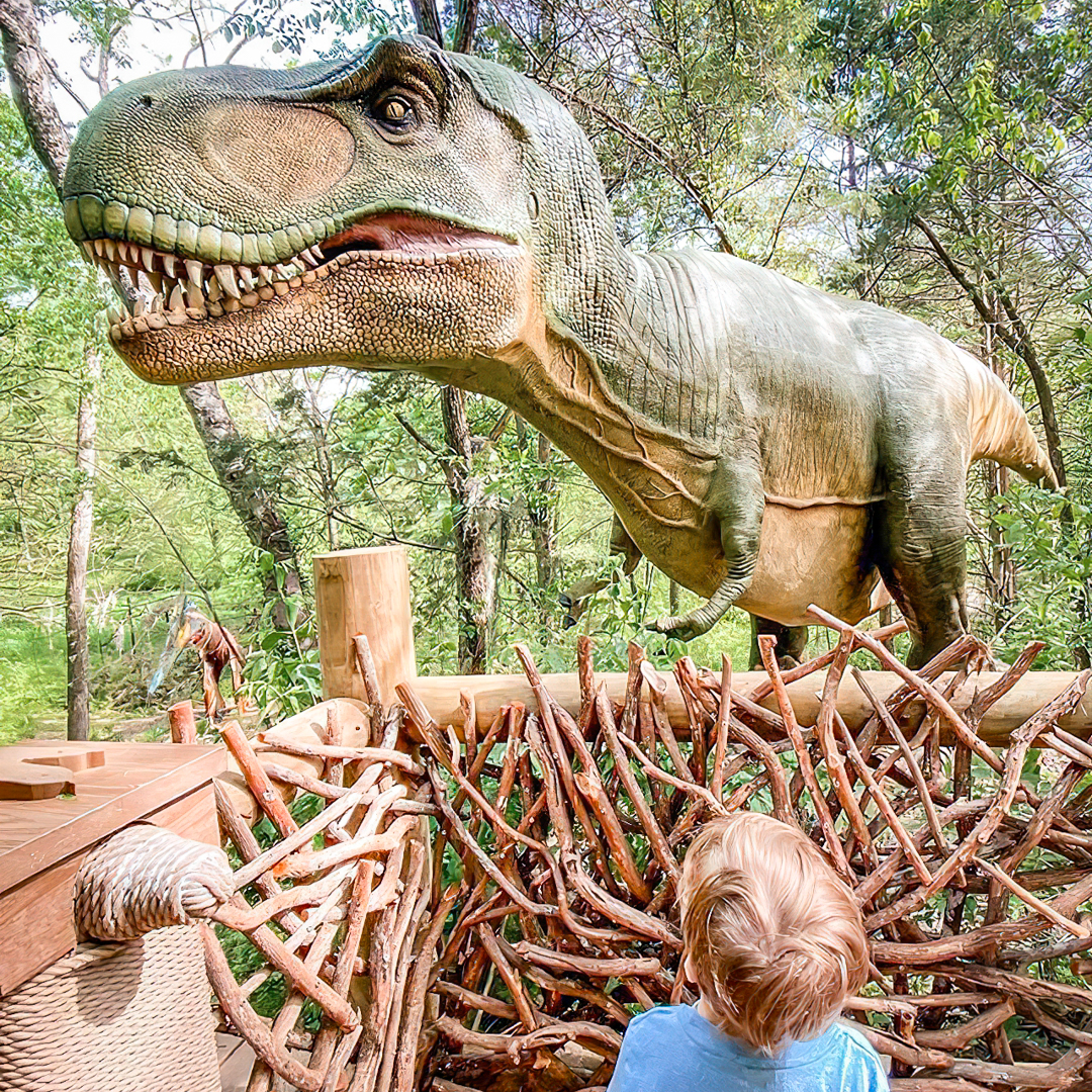 child with dinosaur