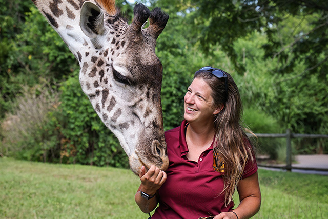 Jenna Wolcyzk, Hoofstock Keeper, with a giraffe