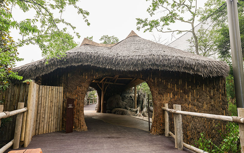 Leopard Forest Building