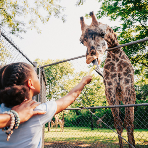 Backstage Pass Tours