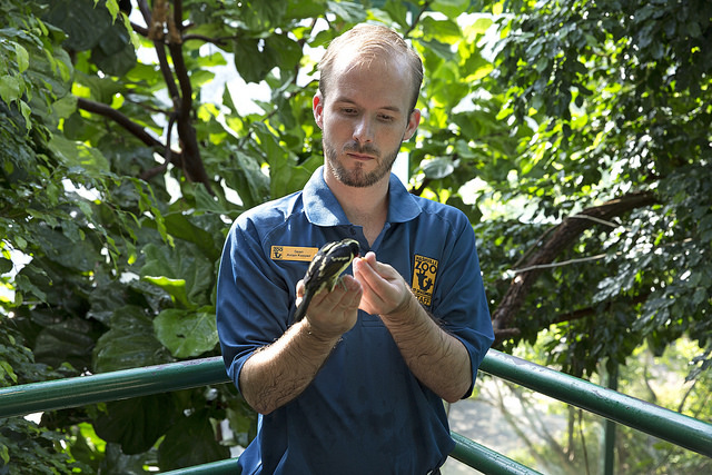 Sean Ployd, Bird Keeper, with a bird in his hands